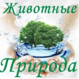 Природа и животные...
