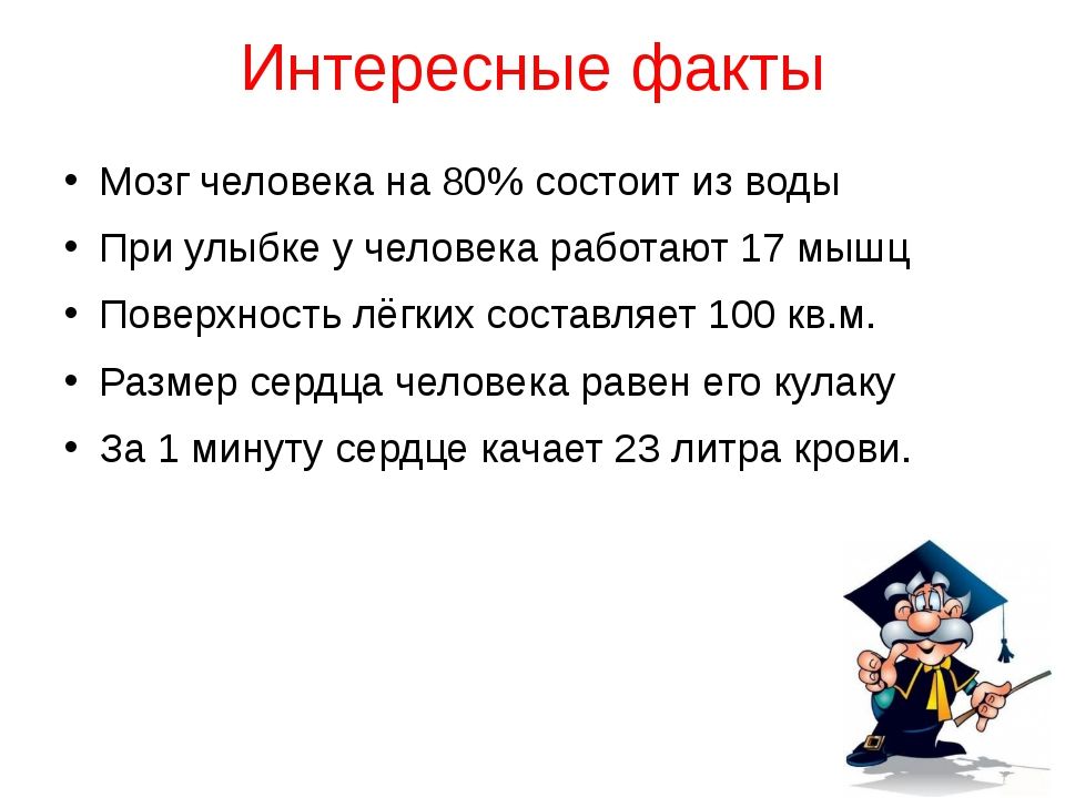 Факты