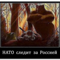 Нато следит за Россией и шпионит во всю -) орёл не может увидеть медведя пока тот не схватит его за горло, так сказать залетел ты братец не туда и назад пути нет....