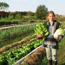 В последнее время все популярнее среди садоводов становится природное или органическое земледелие (биологическое, экологически чистое). Это почти абсолютное отсутствие искусственно созданных веществ (пестицидов, химических удобрений – аммиачная и калийная селитры и т.д.). Высокие урожаи получаются за счет грамотного использования биогумуса, биокомпоста, сидератов, биологических средств защиты.