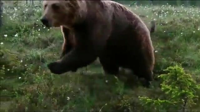 МыЗаБудущее.РФ Это Родина моя и делить ее нельзя это Матушка Россия это русская земля.mp4