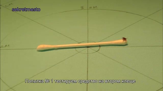 МыЗаБудущее.РФ Уникальный тест средств против клещей