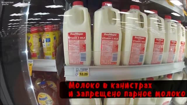 МыЗаБудущее.РФФакты о жителях США которые удивят и введут в ступор любого русского. Порядки США.mp4