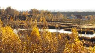 МыЗаБудущу.РФ Мы   будущее, Курган 2015