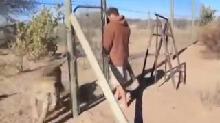 МыЗаБудущее.РФ Клёво! смотреть всем  и постарайтесь распростронить это видео